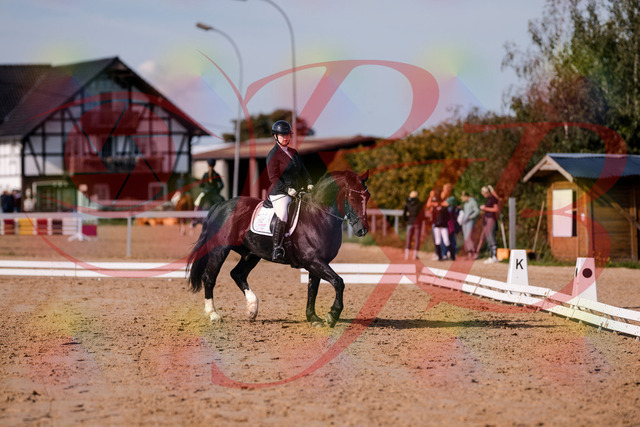 2026_10_03_Siefer-Hof_120644_Z81_07622903 | Professionelle Reitsport-, Turnier- und Eventfotografie von Robert Broda. Galerien mit ausgewählten und bearbeiteten Bildern direkt online ansehen und bestellen.