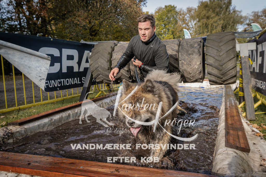 1411_ZZ94122 | kk-dogfotos