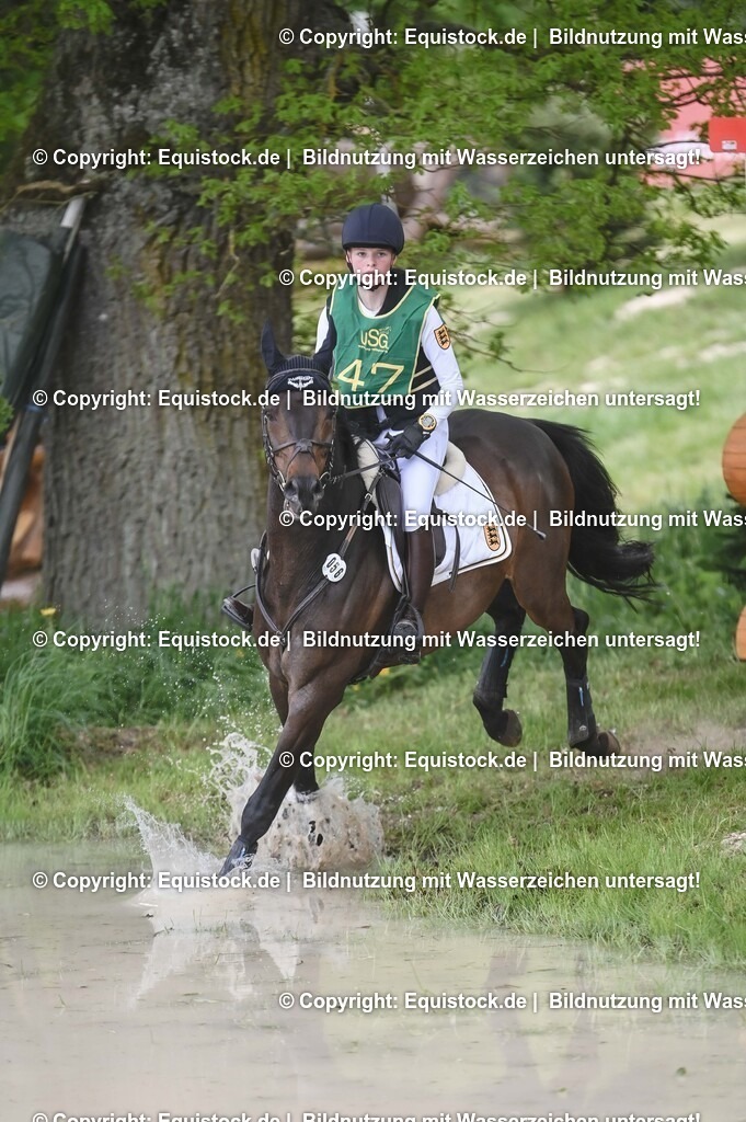 20250517_CCI1_Gelände_0664 | Foto: Thomas Hartig