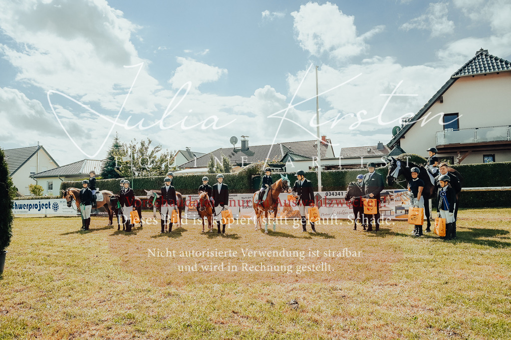 DSC_7037 | Pferde- und Turnierfotografie in Westsachsen. Pferdeportraits, Auftragszeichnungen und intuitive Kunst.