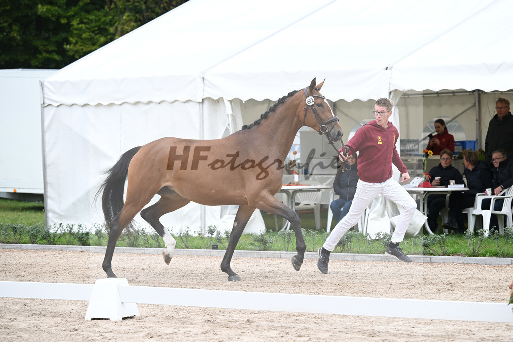 Kat-Nr. 2 Chacira P_Ballas_49220906 | hf-fotografie - Realisiert mit Pictrs.com