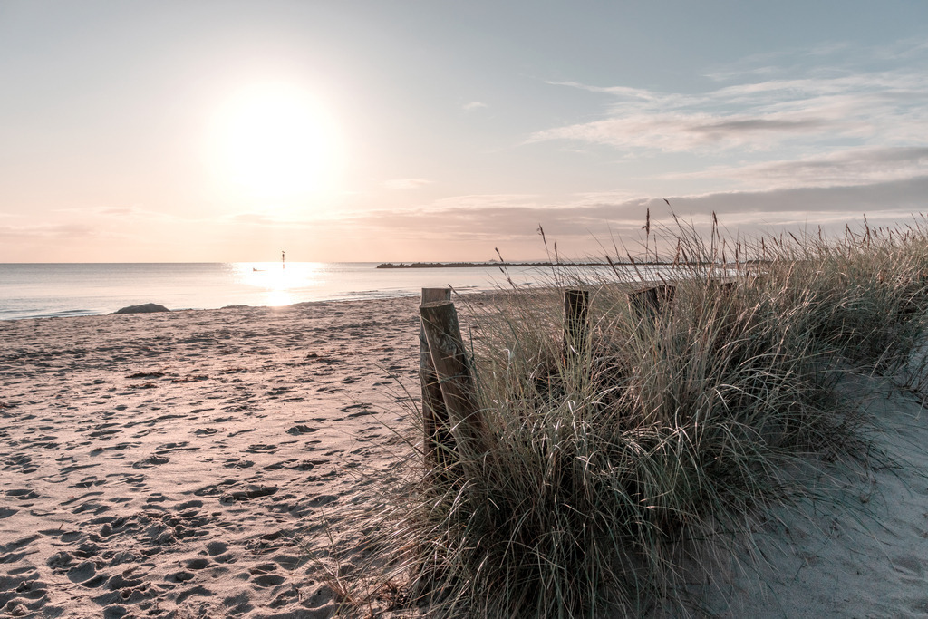 Wandbilder: Strandhafer im Sonnenschein am Meer | Dieses Wandbild im Querformat zeigt die morgendliche Sonne am Standstrand. Im Vordergrund wachst in einem Sandfang aus Holzpfählen Strandgras. Das ganze Bild erhält durch die morgendliche Sonne einen dezenten warmen Farbton. Kaufen Sie sich diese schöne maritime Morgenstimmung auf Leinwand, Aluminium-Platte oder Acrylglas. Ideal fürs Wohnzimmer, Schlafzimmer, Küche, den Arbeitsplatz oder die Ferienwohnung. Die Wandbilder werden individuell für Sie in vielen Abmessungen produziert. Daher passen die Ostseekult Wandbilder immer perfekt an Ihre Wände. - Realisiert mit Pictrs.com