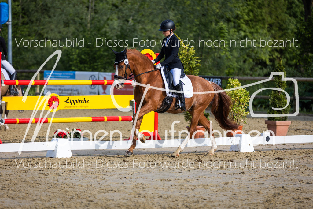 Donop24-A-Dre-091 | MomenTaufnahmen Pferdesportfotos