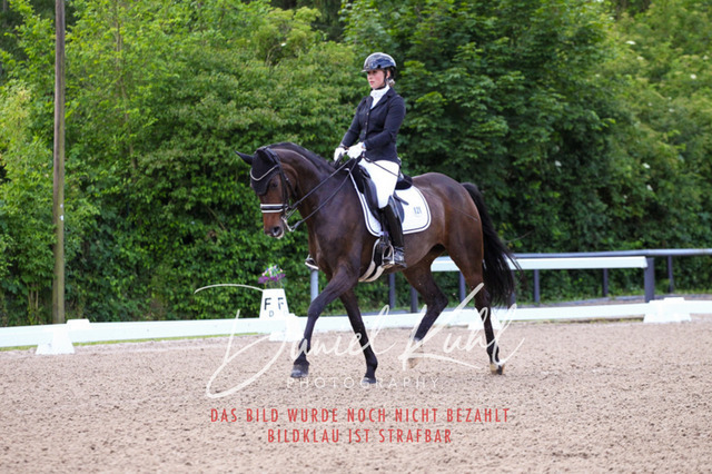 DKP40877 | Turnierfotos kaufen im Webshop von Daniel Kuhl Photography – entdecke professionelle Reitsportfotos aus Turnieren & Events. Hochwertige Turnierbilder online bestellen & sichern. Jetzt Fotos von Reitsportturnieren kaufen!