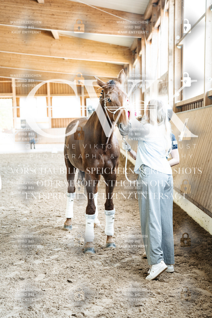 CK703263 | Turnierfotografie Pferdefotografie Trier Rheinland-Pfalz Pferdesport Reitsport Tierfotografie Sportfotografie Pferdevideo Pferdevideografie Equestrianvideography equestrianphotography  - Realized with Pictrs.com