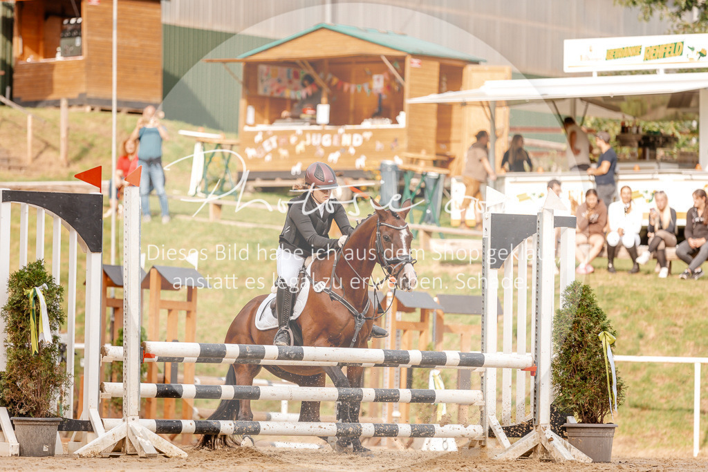 3I6A2753 | Stimmungsvolle Portraits und Reitsportfotografie im Ruhrgebiet und im Münsterland.

Pferdefotografie, Hundefotografie, Tierfotografie, Reportagen, Portraits von Tier und Mensch, Turnierfotografie in Bochum, Recklinghausen, Marl, Haltern am See, Dülmen.. - Realisiert mit Pictrs.com