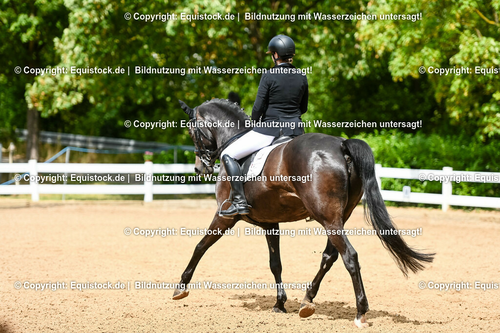 20230716_01_Dressurprüfung Kl.M_0117 | equistock