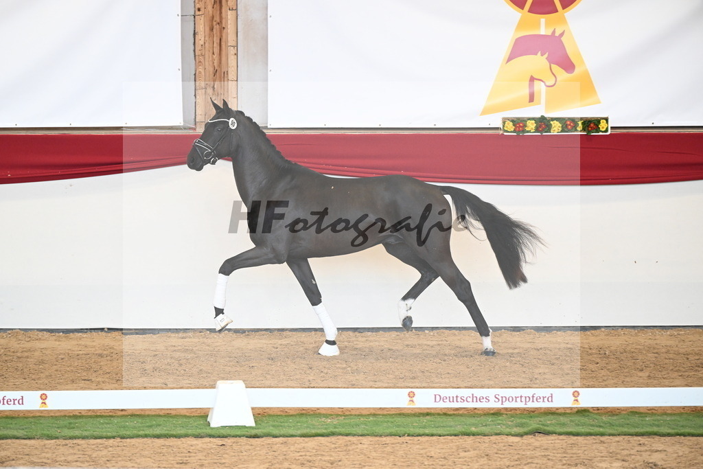 Kat.-Nr. 90 v. Vivaldos_Sosath_2250932 | hf-fotografie - Realisiert mit Pictrs.com