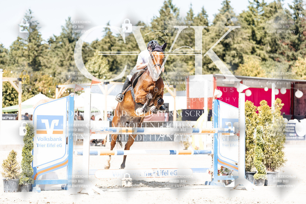 CK900543 | Turnierfotografie Pferdefotografie Trier Rheinland-Pfalz Pferdesport Reitsport Tierfotografie Sportfotografie Pferdevideo Pferdevideografie Equestrianvideography equestrianphotography  - Realisiert mit Pictrs.com