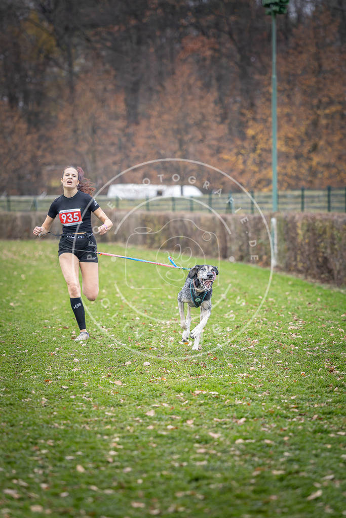 CaniXpix_DV3A7169 | Hundefotografie, Tierfotograf, Pfotenfotografie, Fotoshooting Hund, Hunde Portrait, Hundesport, Hundeportraits, Heideshooting, Hunde, Sportfotograf, Hundefotograf, Turnierhundsport, THS,  - Realisiert mit Pictrs.com