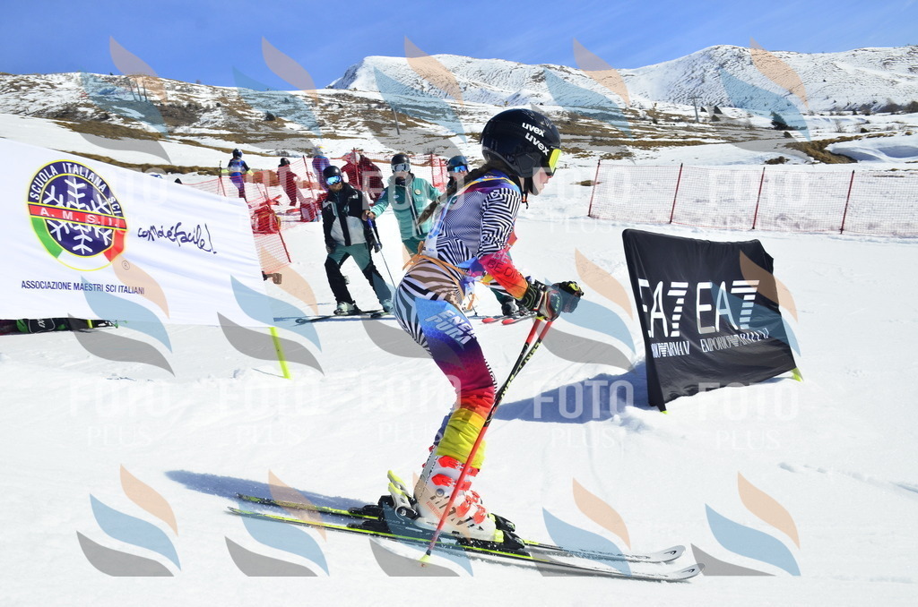 _ELE0024 | holidayphoto