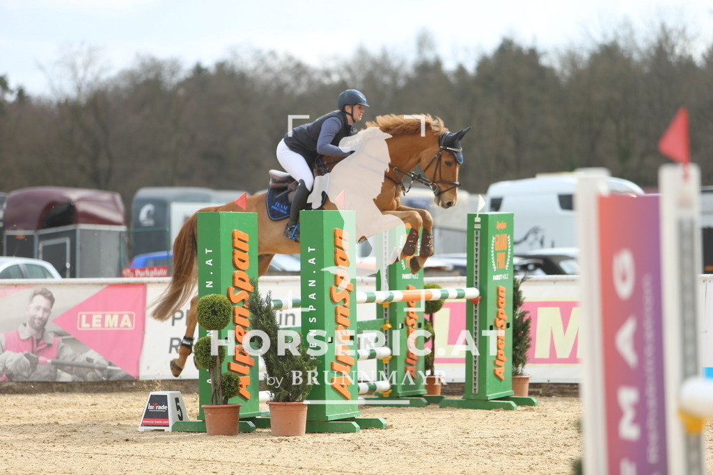 DL2Q9126 | Willkommen bei Brunnmayr - Design & Fotografie – Ihrem Spezialisten für Reitturniere und Pferdeveranstaltungen in Oberösterreich, Salzburg und Bayern! Seit über 17 Jahren sind wir leidenschaftlich dabei.