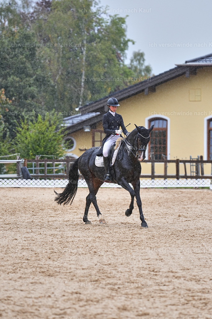 8_1-027-Klasse S_  -Marixx-4397 | working equitationturnier fotograf videograf stoibphotography marixx film working equitation deutschland reitsport turnierfotografie eventfotografie equestrian events