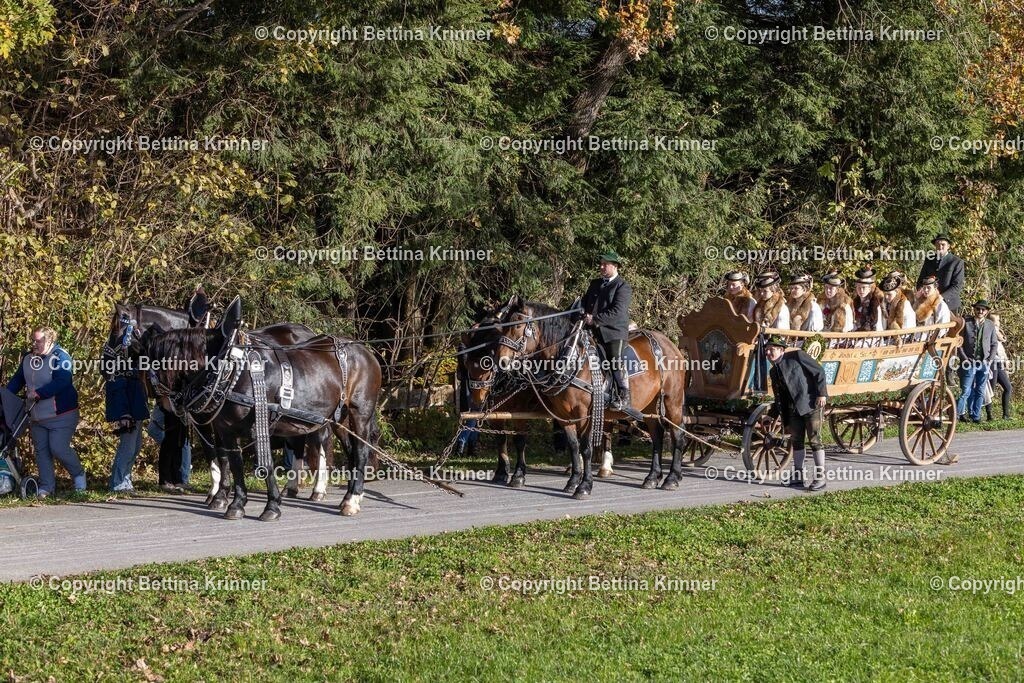 LBT24-131 | foto-bettina-krinner - Realisiert mit Pictrs.com
