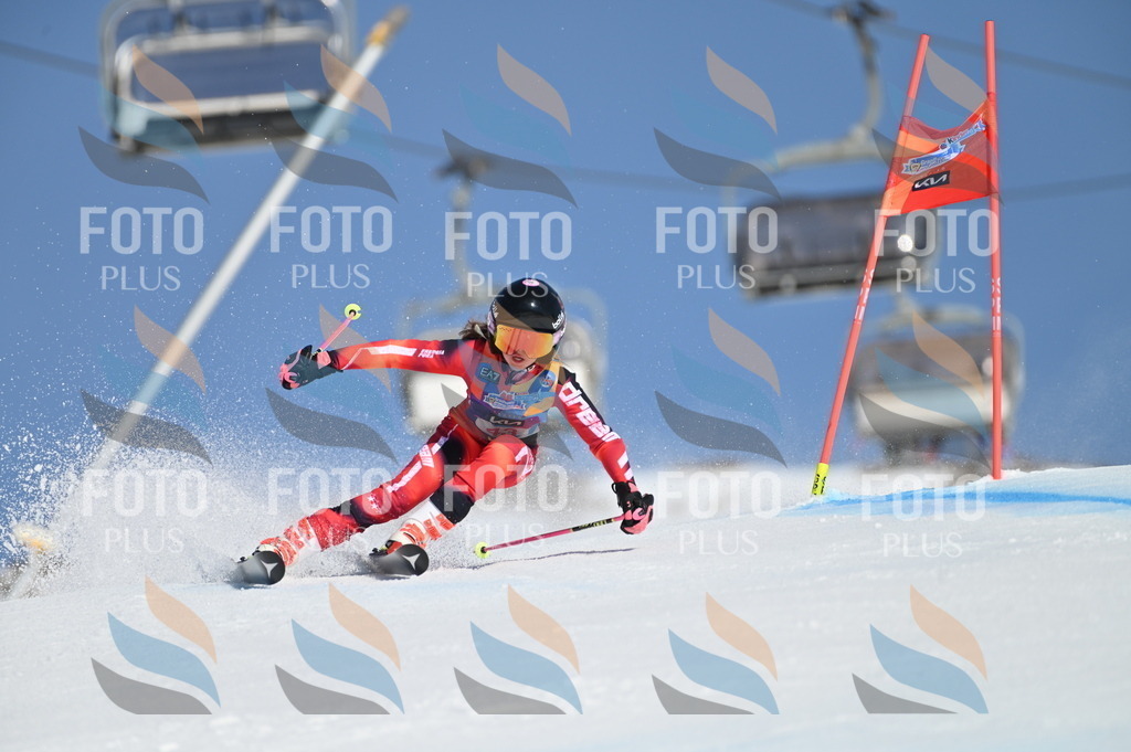 BGV_8404 | holidayphoto