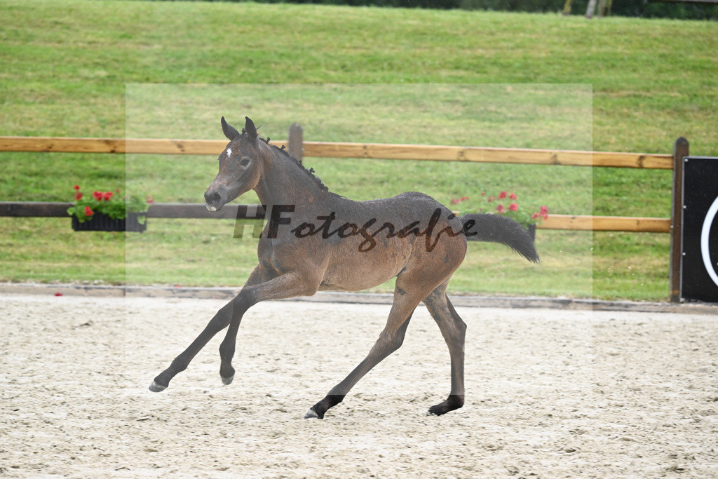 Kat-Nr. 44 SF Vingino_Illia_17231494 | hf-fotografie - Realisiert mit Pictrs.com