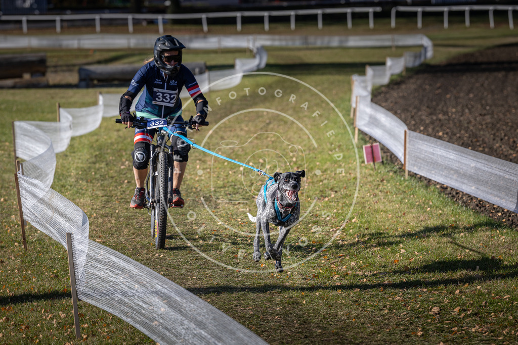 CaniXpix_DV3A6793 | Hundefotografie, Tierfotograf, Pfotenfotografie, Fotoshooting Hund, Hunde Portrait, Hundesport, Hundeportraits, Heideshooting, Hunde, Sportfotograf, Hundefotograf, Turnierhundsport, THS,  - Realisiert mit Pictrs.com