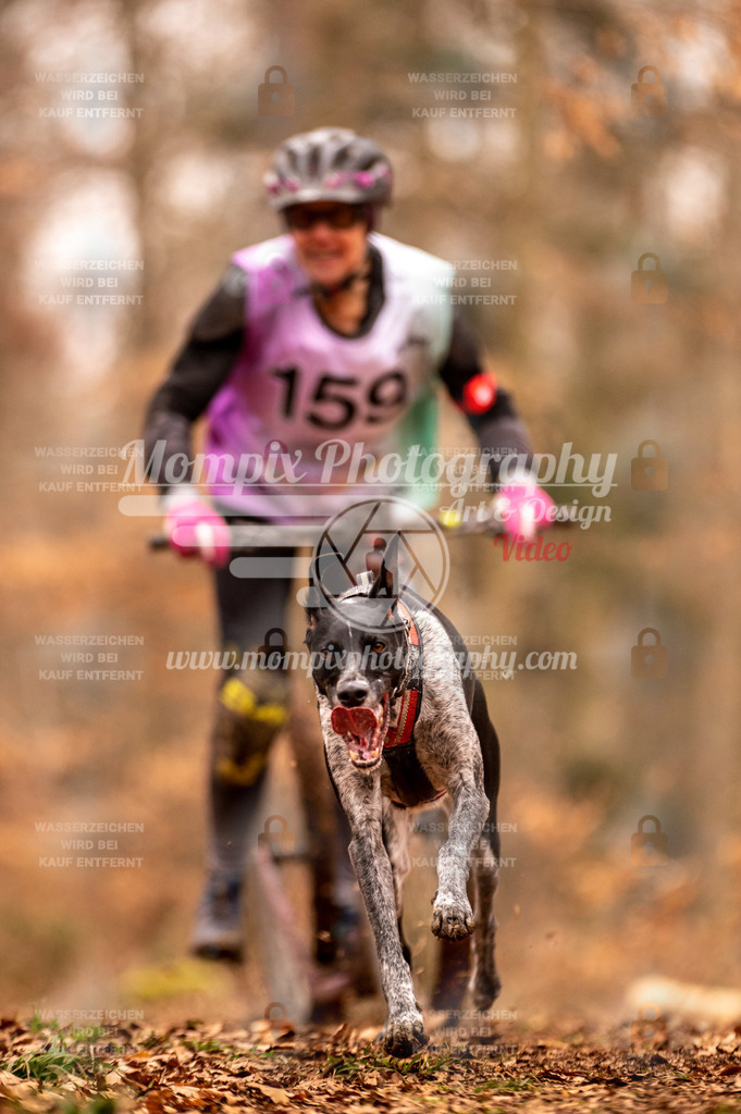 AKM_ST_2023_SAM_Scooter-23 | PayLife
