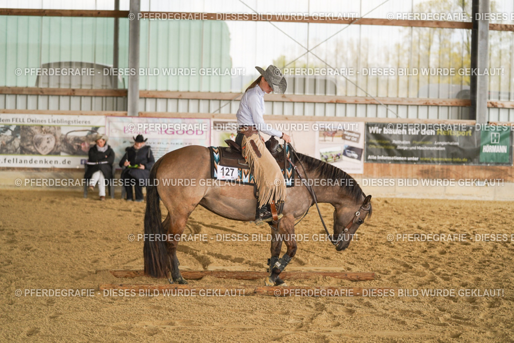 DSC02296 | Pferdegrafie