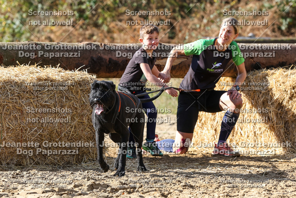 Dog Paparazzi - Strongdog 10-25-4896 | Dog Paparazzi Jeanette Grottendiek Fotografie & Videografie - Realisiert mit Pictrs.com