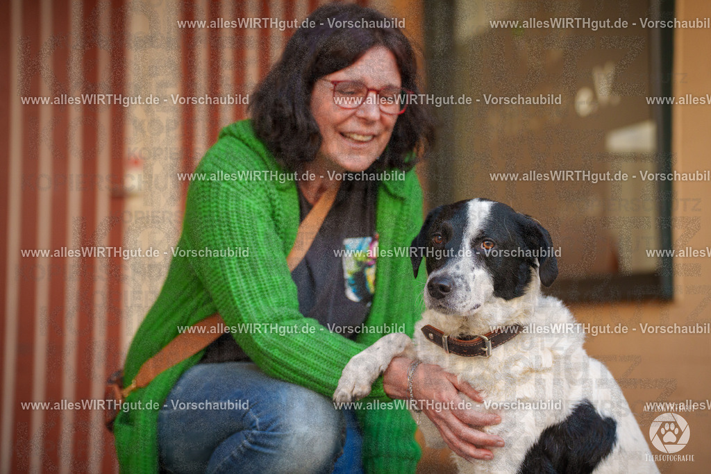 Pfötchenmarkt Nettetal-Lobberich 2026 - Nettetal-Tag - Daniel Wirth - www.allesWIRTHgut.de - @allesWIRTHgut_Tierfotografie 7R508509 | Professionelle Tierfotografie in Mönchengladbach von Daniel Wirth (allesWIRTHgut). Liebevolle & natürliche Bilder von Hunden & Katzen für unvergessliche Erinnerungen.