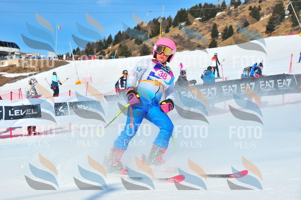 DSC_4001 | holidayphoto