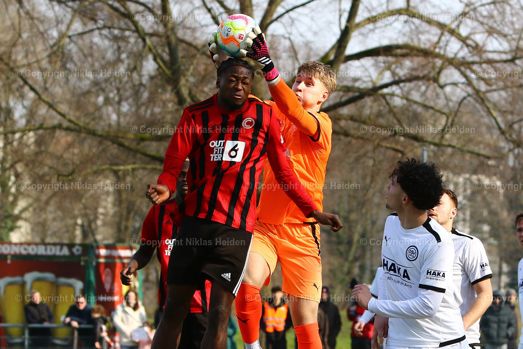 NH_Concordia_DuenebergerSV_OberligaHamburg_03032024 | #21 Dennis Arhin Baffour (Concordia), #1 Arne Hantusch (Düneberger SV)

Oberliga Hamburg I 26. Spieltag  I 03.03.2024