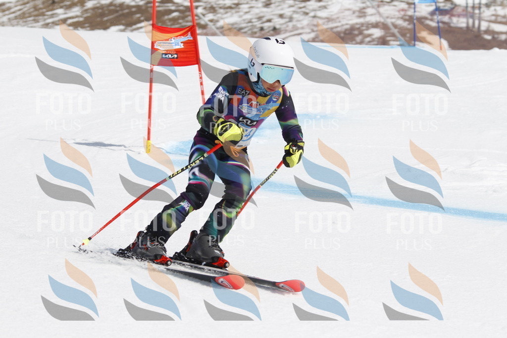 _U3G1626 | holidayphoto