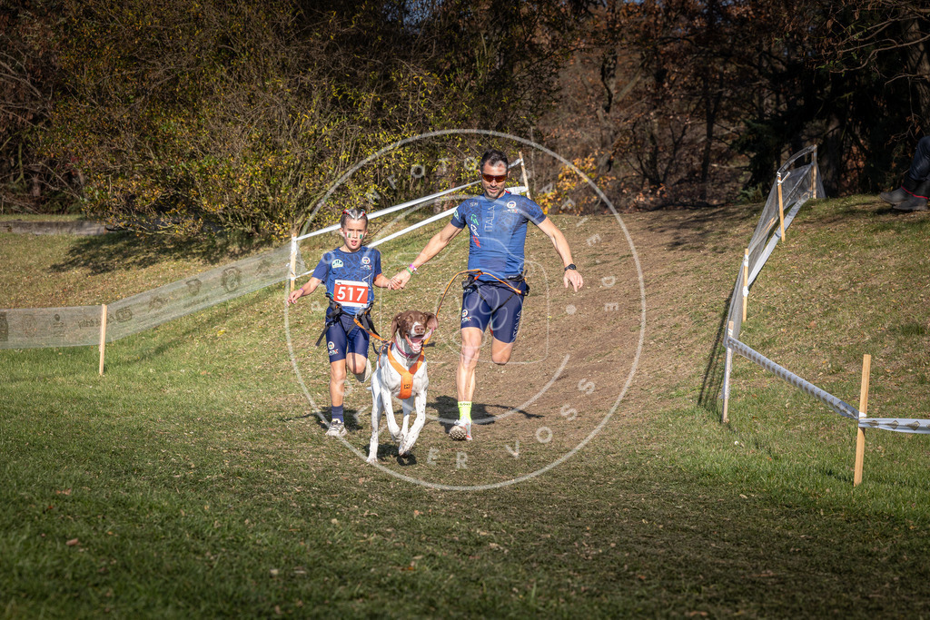 CaniXpix_0L8A8520 | Hundefotografie, Tierfotograf, Pfotenfotografie, Fotoshooting Hund, Hunde Portrait, Hundesport, Hundeportraits, Heideshooting, Hunde, Sportfotograf, Hundefotograf, Turnierhundsport, THS,  - Realisiert mit Pictrs.com