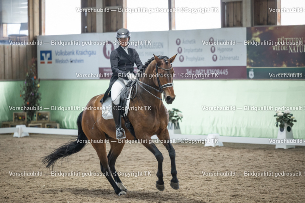 _D5A6367 | Emotionale Pferde- & People-Fotografie rund um Heidelberg, Leimen & Umgebung. Natürliche Fotos von Pferd, Mensch & Familie. Jetzt Termin sichern!