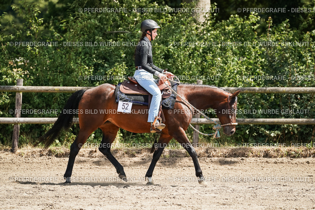 DSC07687 | Pferdegrafie