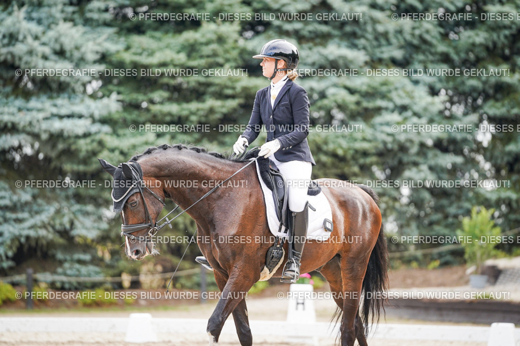 DSC01720 | Pferdegrafie