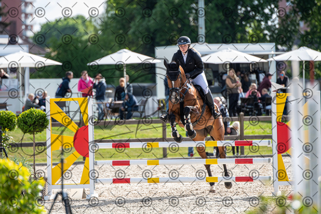 KPT_4696 | andre_photographic