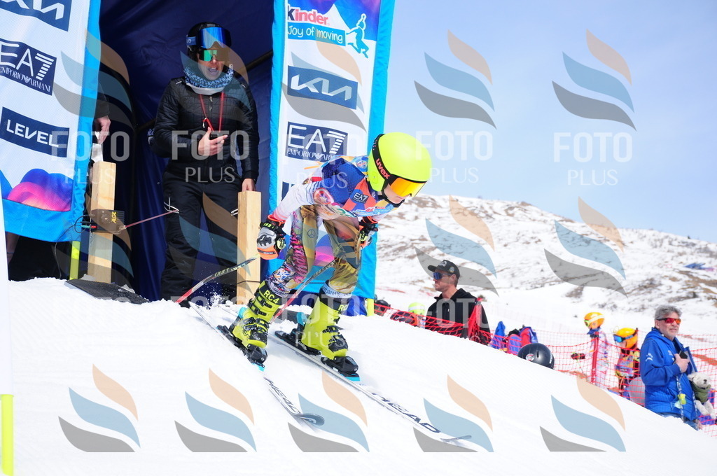 DSC_2787 | holidayphoto