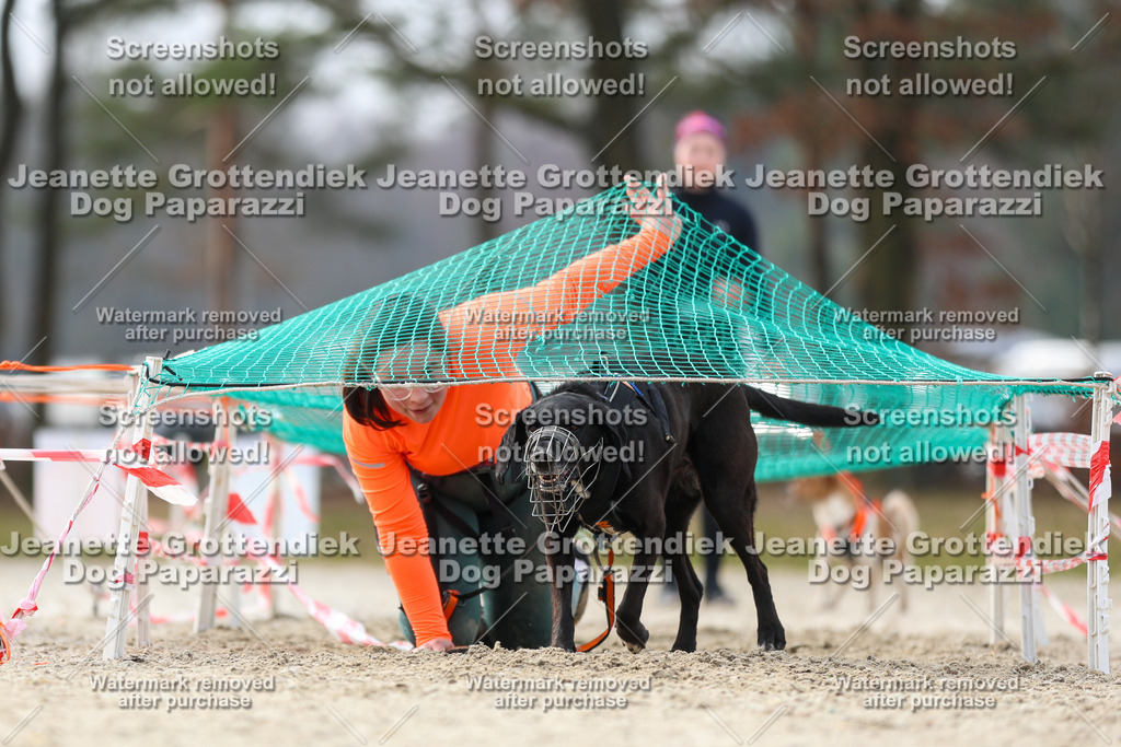 Dog Paparazzi - Strongdog North Mrz26-5224 | Dog Paparazzi Jeanette Grottendiek Fotografie & Videografie - Realisiert mit Pictrs.com