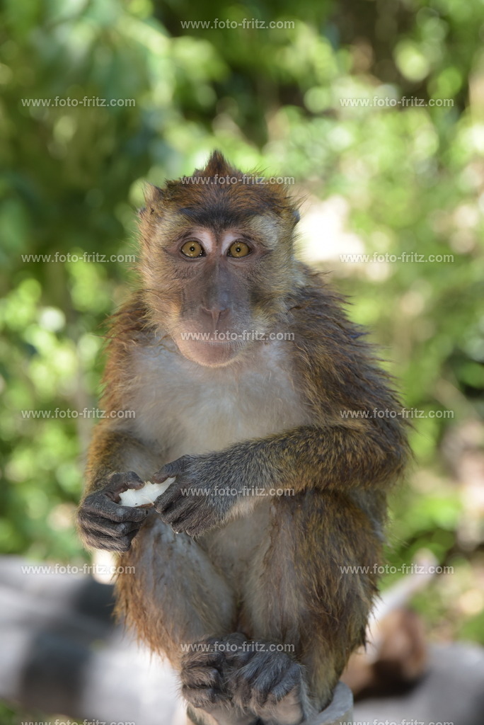 DEZ_0586 | www.foto-fritz.com - Realisiert mit Pictrs.com