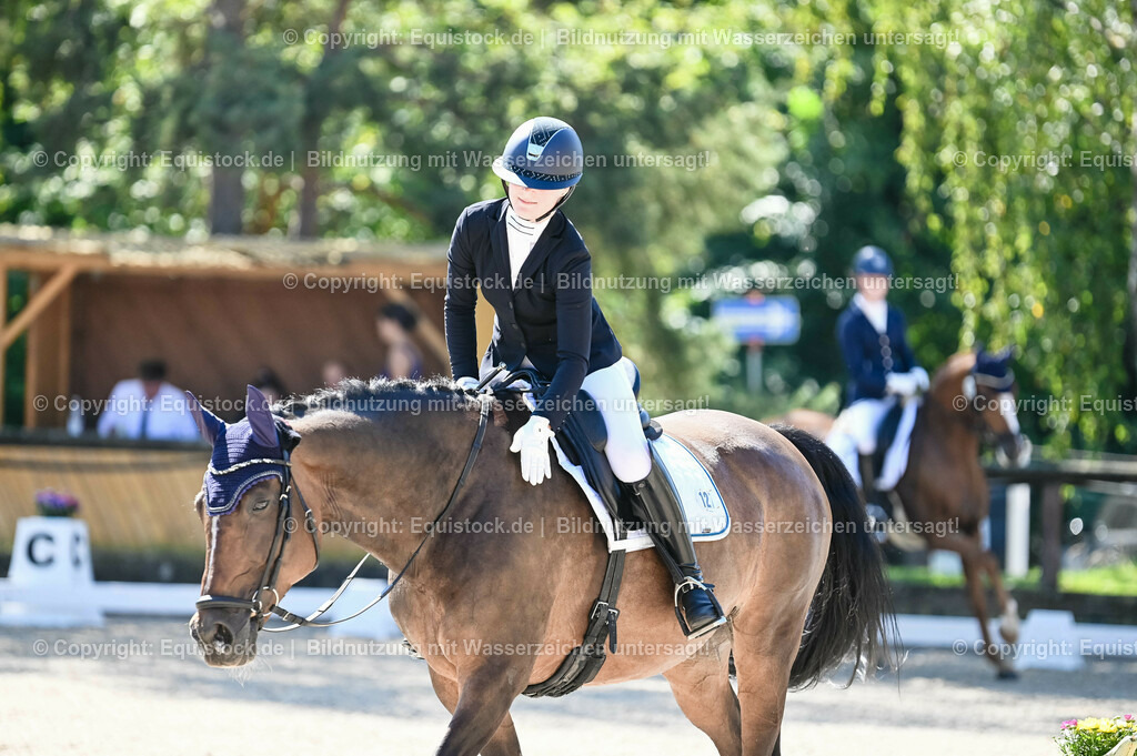 20230908_06_Dressur-L-Trense_0496 | equistock