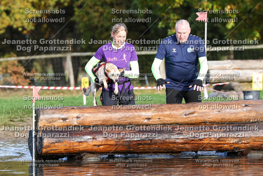 Dog Paparazzi - Strongdog 10-25-8366 | Dog Paparazzi Jeanette Grottendiek Fotografie & Videografie - Realisiert mit Pictrs.com