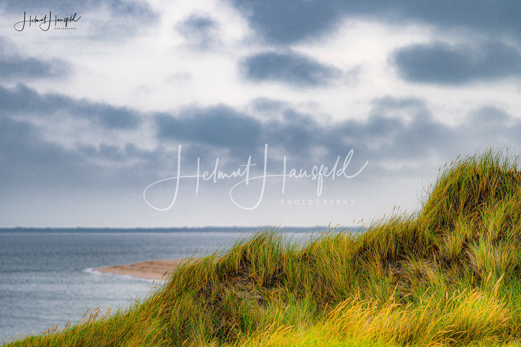 DSC00774 | Landschaftsfotografie, Naturfotografie - Realisiert mit Pictrs.com