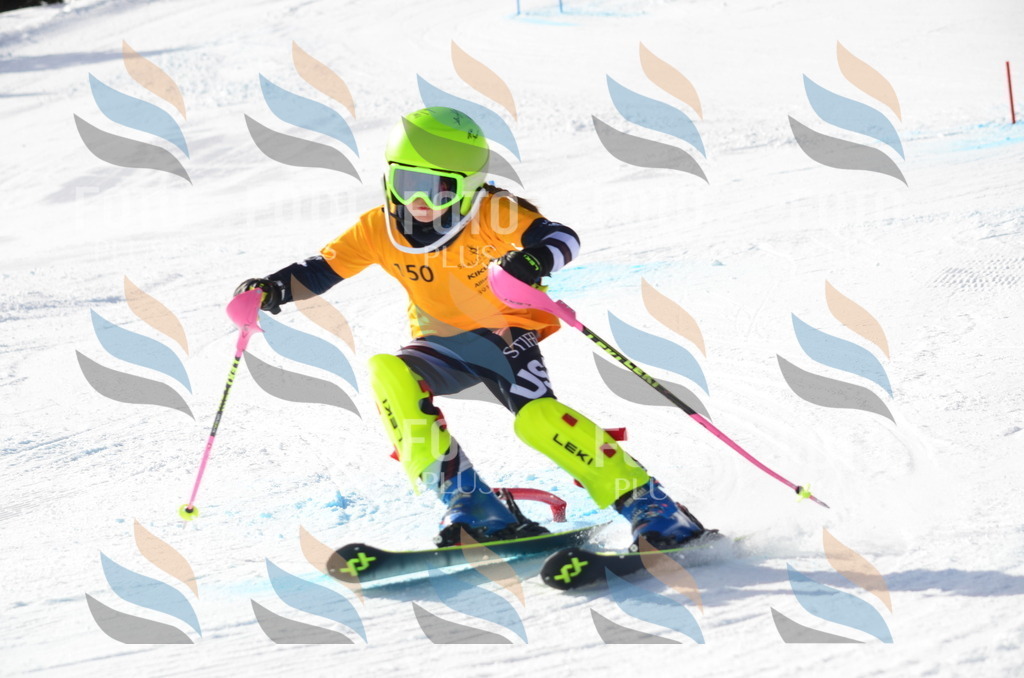 C7759 | holidayphoto