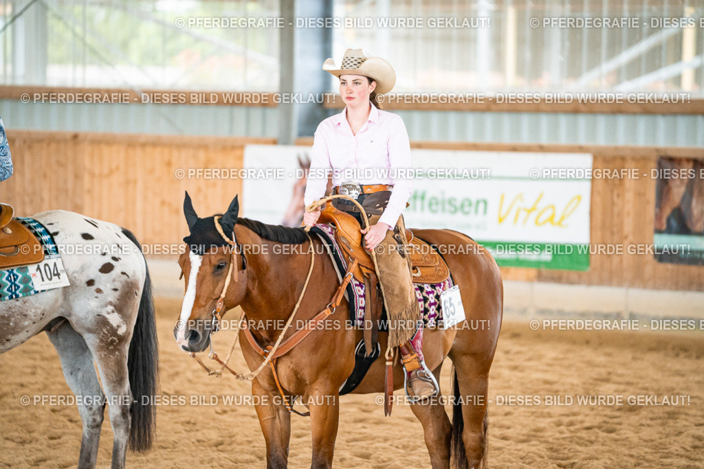 DSC00800 | Pferdegrafie