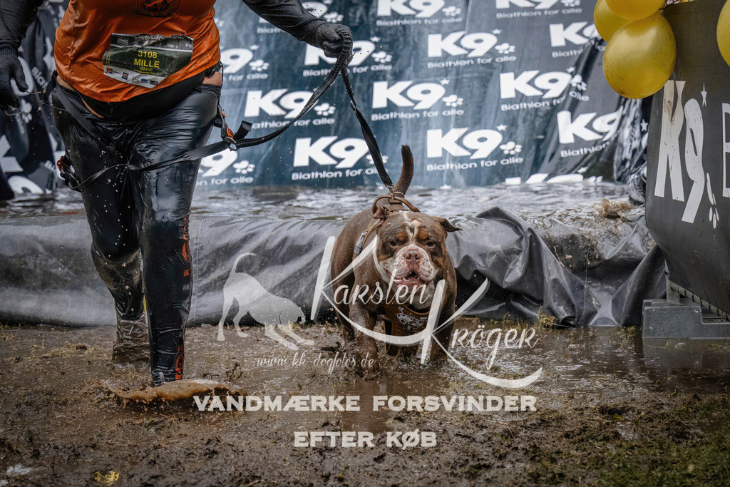 1237_ZZ90363 | kk-dogfotos