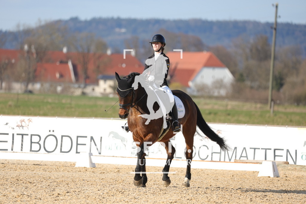 0P6A7963 | Willkommen bei Brunnmayr - Design & Fotografie – Ihrem Spezialisten für Reitturniere und Pferdeveranstaltungen in Oberösterreich, Salzburg und Bayern! Seit über 17 Jahren sind wir leidenschaftlich dabei.