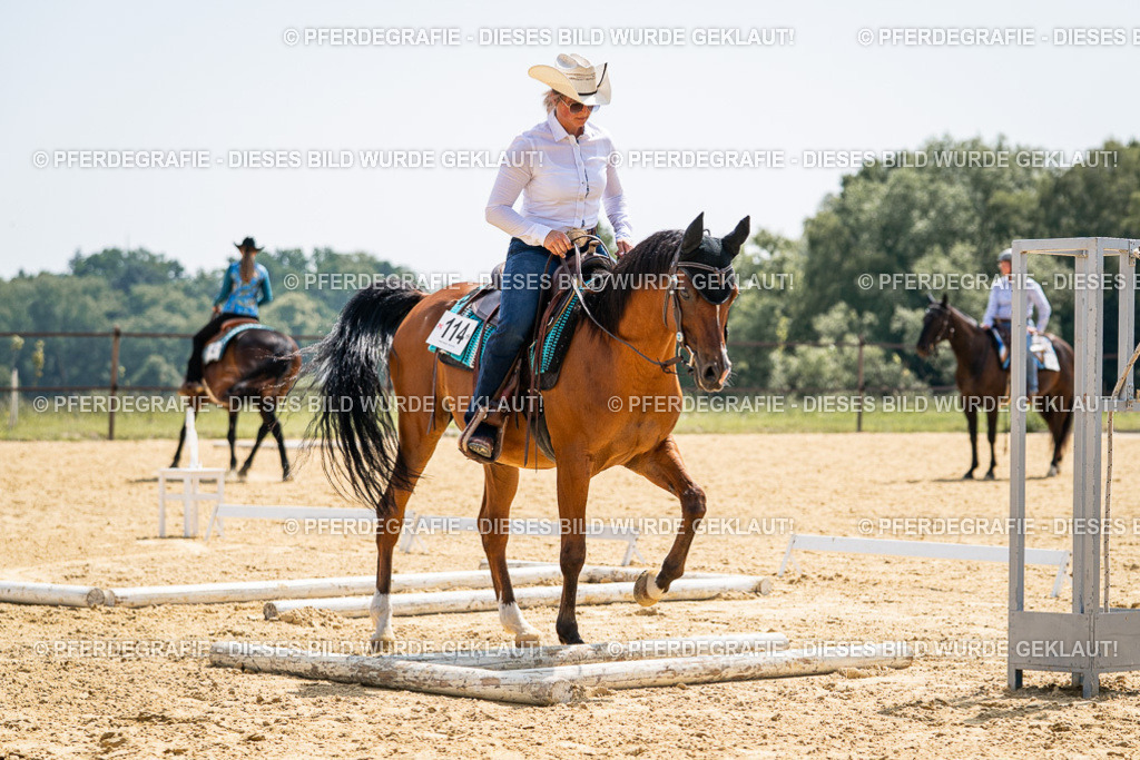 DSC00485 | Pferdegrafie