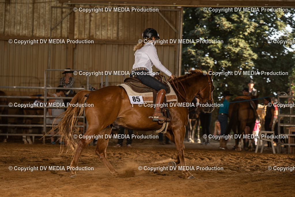 NID03887 | dv-media-shop - Realisiert mit Pictrs.com