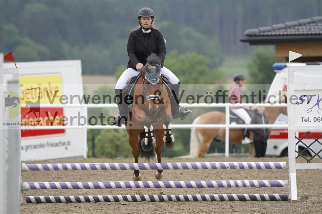 _MG_9687 | equestrian-live-com