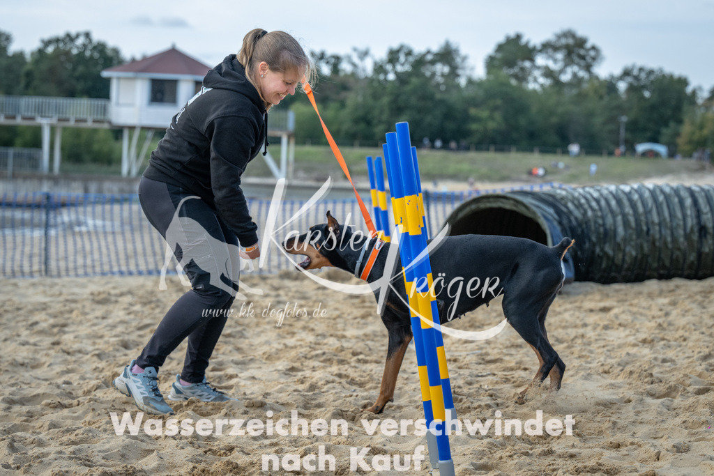 1538_ZZ92316 | kk-dogfotos