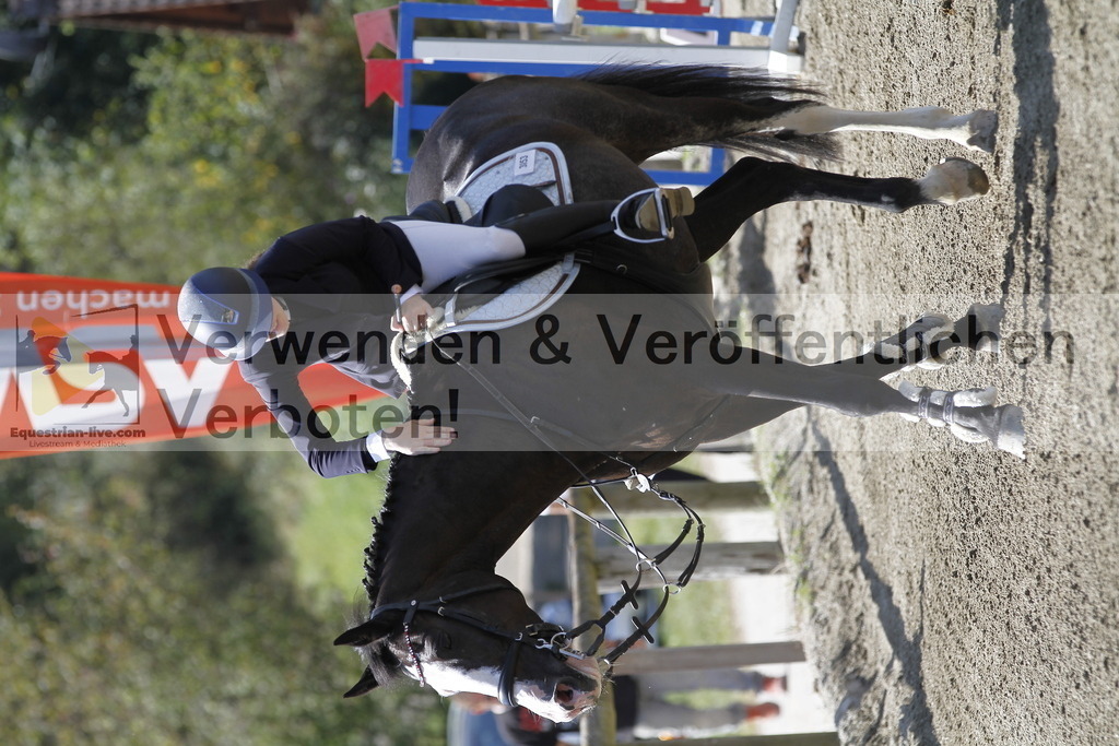 _MG_6465 | equestrian-live-com