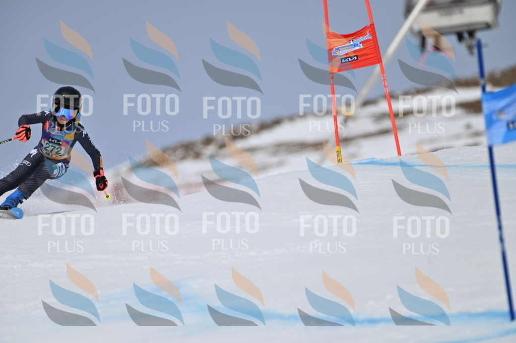 BGV_5372 | holidayphoto