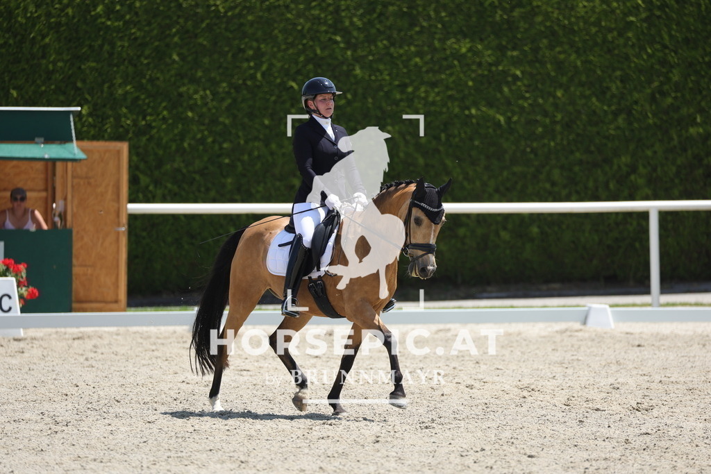 0P6A1685 | Willkommen bei Brunnmayr - Design & Fotografie – Ihrem Spezialisten für Reitturniere und Pferdeveranstaltungen in Oberösterreich, Salzburg und Bayern! Seit über 17 Jahren sind wir leidenschaftlich dabei.